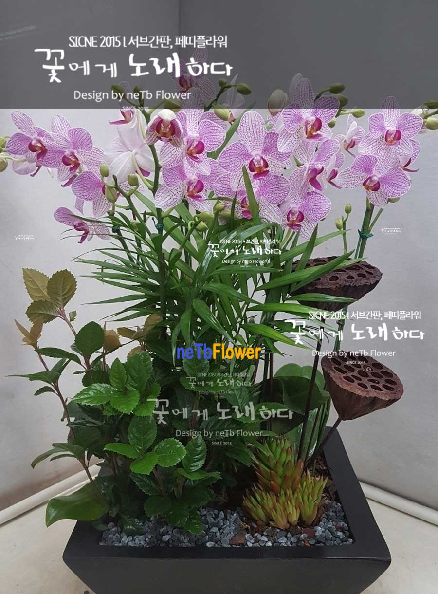 db7e789addb3594eba2728d9f7ded640_1737087710_4676.jpg
