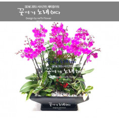 만천홍