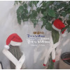 선인장 무륜주와 귀면각