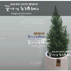 가문비나무 엑셀런트포인트 크리스마스트리나무