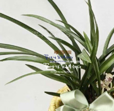 철골
