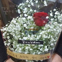 죽도록 사랑해(장미와 안개)