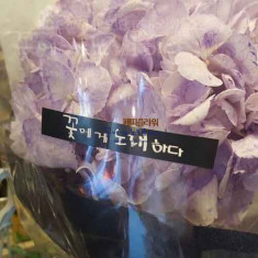 수국 나홀로 꼬따발