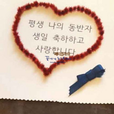 플라워 메세지 Dry Stirlingia