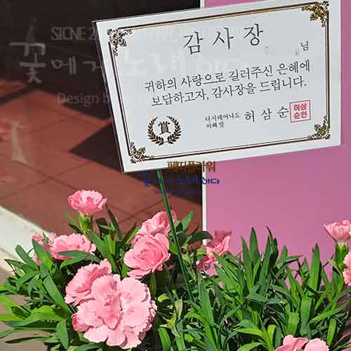 이벤트 화분과 미니감사장