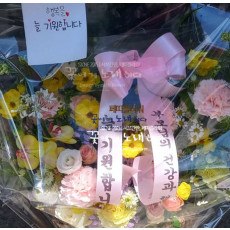 카네이션 꽃바구니