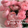 예뻐서 사랑듬뿍 받는 실바핑크 장미