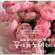 예뻐서 사랑듬뿍 받는 실바핑크 장미