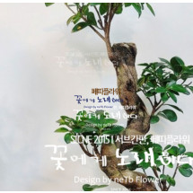 가지마루팬더 (인삼팬더/인삼펜다)