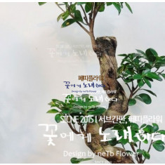 가지마루팬더 (인삼팬더/인삼펜다)